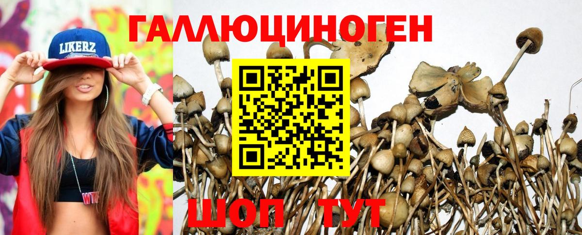 Псилоцибиновые грибы MAGIC MUSHROOMS  где можно купить   Усть-Джегута  Вход с VPN 